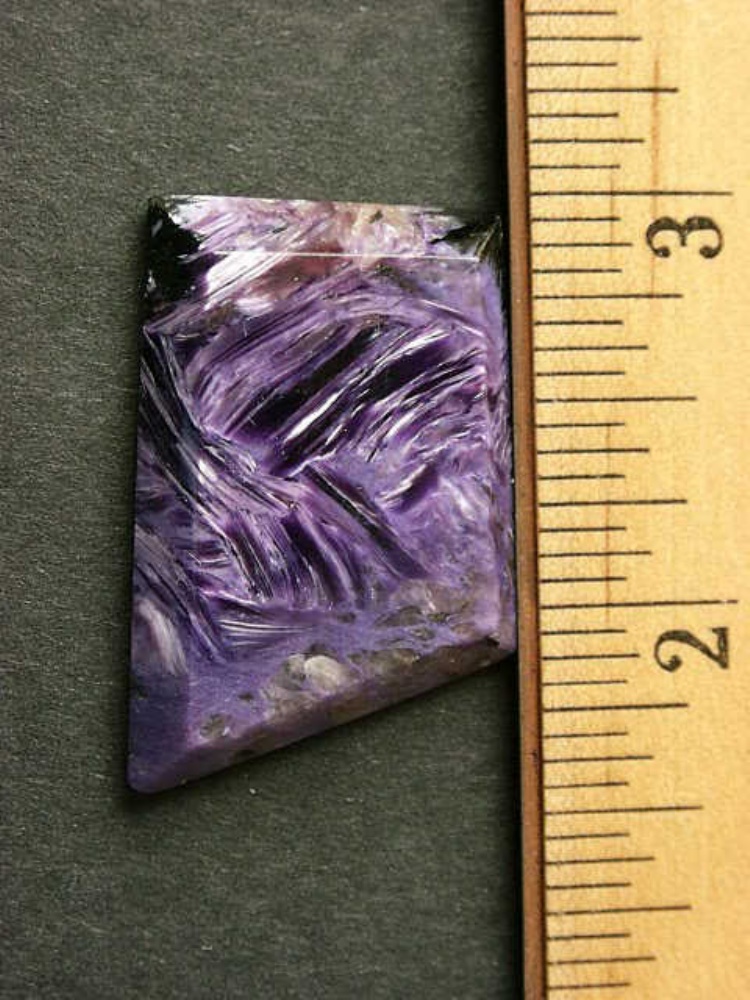03110010