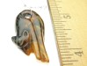 Item #Pietersite2, Price $25.00 Pietersite cat. Beautiful little carved bead cat. Bead is drilled where the cat's back is arched. Bead is 38mm long by 18mm wide. Drilled hole size is about 4.0 mm.